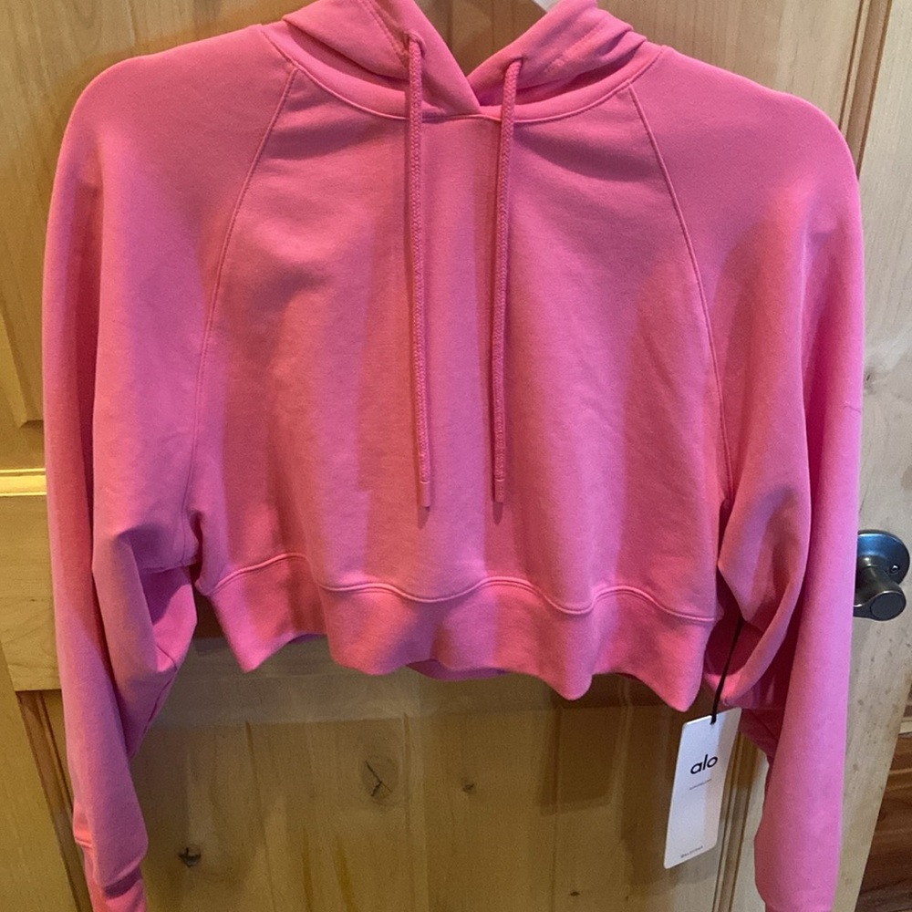Alo Yoga Paradise Pink Cropped Double Take Hoodie